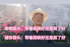 晾晒蒜头，储存蒜头，带着蒜秧好还是剪了好，这里头大有讲究。