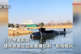儿子想看航母，硬核爸爸自家鱼塘自制“航母舰队”：已经做了5个视频封面