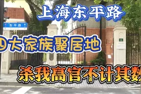 上海东平路四大家族聚居地中国历史名人第一圈，杀我高官不计其数视频封面