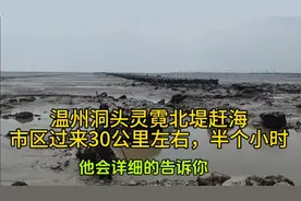 温州洞头灵霓北堤赶海，有很多的小鱼小虾小螃蟹，适合带小朋友来