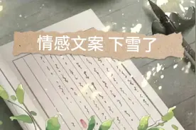 情感文案 下雪了 自述独白剧情向视频封面