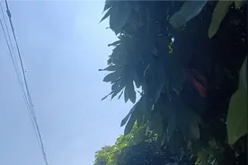 HIM是真实存在的吗，这个视频告诉你答案@文哥哥