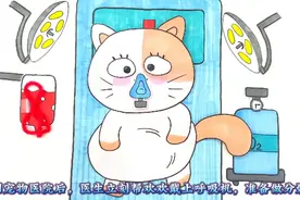 儿童动画，拯救怀孕的流浪猫欢欢