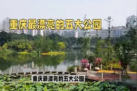 重庆五大漂亮公园，看看你都去过几个？