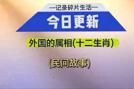 外国的属相(十二生肖)视频封面