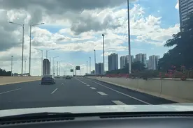 北方的朋友看过来，广西立交桥上的三角梅。视频封面