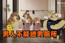 女生凭什么不能上男厕所视频封面