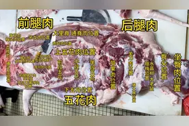 猪肉小哥分享猪肉知识！满满的猪肉各部位名称详细科普！