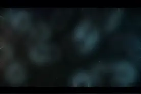 死亡是什么时候发明的？