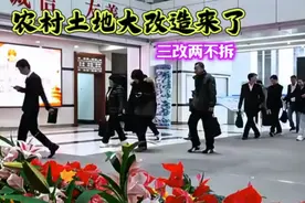 “三改两不拆”重塑农村，你的生活将因这些政策而改变吗？视频封面