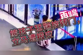 熊孩子猛踹旋转门，立马遭报应…网友：吃亏才长记性视频封面