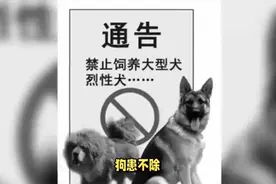 禁止大型犬入内，狗患不除！中国icon终于对狗患重拳出击！