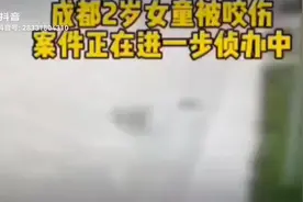 成都被狗咬伤女孩后续如何？听专家医生和知名律师怎么说！视频封面