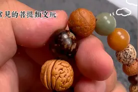 菩提小百科视频封面