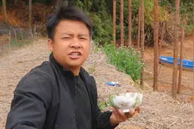 小伙搭建水上养殖棚，上面养家畜水里养鱼，这种模式估计很有效果视频封面