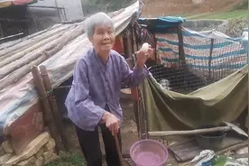老梁母亲每天捡得一个鸭蛋，心里高兴笑着视频封面