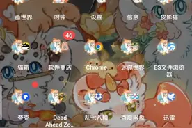 猫箱