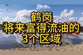 鹤岗将来富得流油的区域，这3个区域备受瞩目，在当地熠熠生辉！