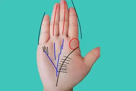 好命的女人的掌纹视频封面