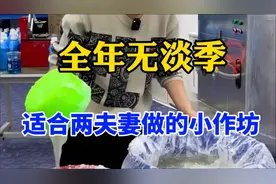 家庭型的小作坊，两夫妻就能干，收益很可观，农村干最划算视频封面