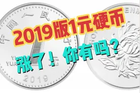 我们在用的2019版一元硬币已经涨了，你有多少呢？视频封面