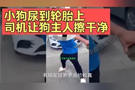 小狗尿到轮胎上，司机让狗主人擦干净，狗主人：等会干了还擦什么视频封面