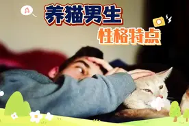 养猫男生的性格特点，女生记得收藏好哟视频封面