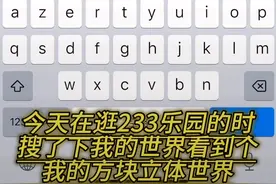 水印抖号不道哪搞的）233乐园你说你的游戏都是正版的结果是盗版