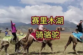 赛里木湖风景秀丽，骑着骆驼牧羊别有一番风味。