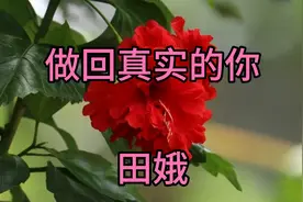 田娥《做回真实的你》做一个对得起自己良心的人，用真心对待别人视频封面