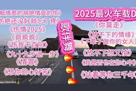 最火爆车载DJ歌伴舞 《痴情惹的祸绝情受的伤》《伤情2025》