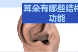 耳朵有哪些结构功能？视频封面