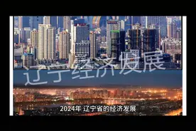 2024年，辽宁省的经济发展表现出总体平稳的特点。根据辽宁省统计视频封面