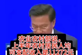 农民上半年，人均纯收入11272元，网友直呼这是怎么算出来的。视频封面