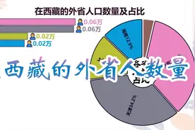 在西藏的外省人数量排名视频封面