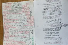 许来发投诉南陵县公公安局局长与家发镇政府违法侵权案件@央视网视频封面