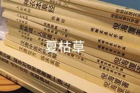 倪海厦分享夏枯草。咽喉肿痛、甲状腺结节。视频封面