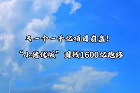 又一个一千亿项目崩盘！“小猪优版”圈钱1600亿跑路视频封面