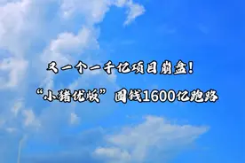 又一个一千亿项目崩盘！“小猪优版”圈钱1600亿跑路