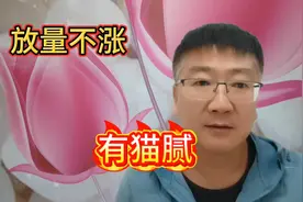 放量不涨，定有猫腻视频封面