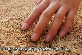 守护粮食安全，国之根本，从我做起！视频封面