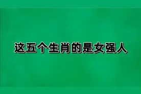 这五个生肖的是女强人视频封面