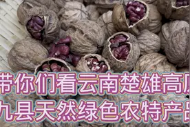 带你们我看云南楚雄高原九县城天然绿色特产品视频封面