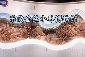 原来在乐陵还有这么一个不容错过的博物馆。视频封面