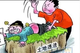 违规乱占耕地是一种严重的违法行为，必须予以严厉打击和惩处。视频封面