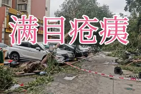 15级强台风正面登陆泉州，会造成什么结果呢？来看看……