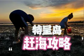 用六分钟介绍在特呈岛的吃住行游玩。搭渡轮～环岛游～找赶海地点