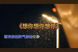 《想你想你想你》