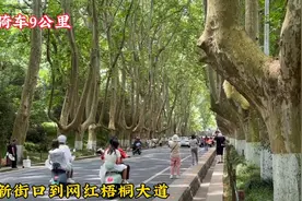 南京新街口到网红梧桐大道，骑车9公里带你看一路风光