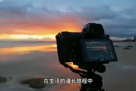 从风光到落魄的洞察视频封面